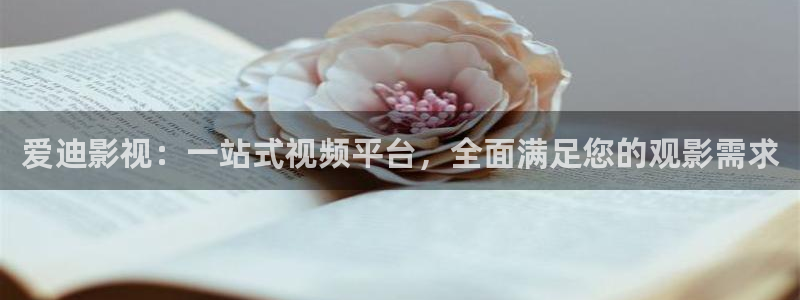 窝窝网在线观看免费高清电视剧大全