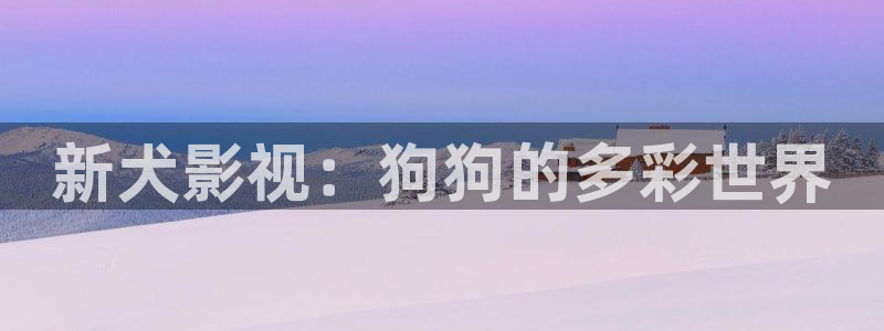窝窝看电影电视剧大全