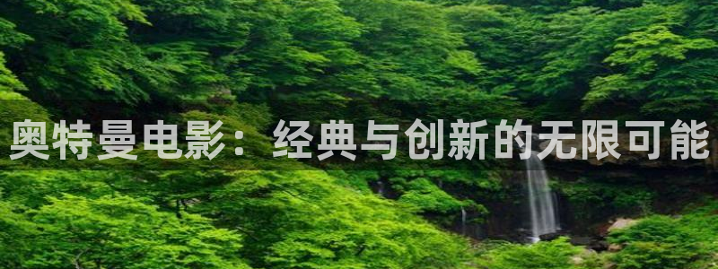 窝窝手机电影网