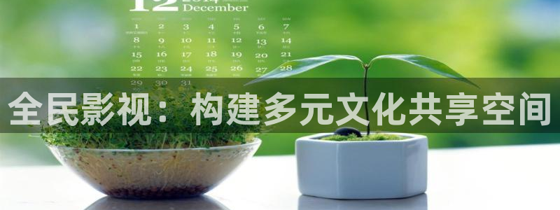 窝窝午夜电影