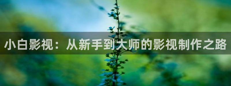 窝窝网电影电视免费大全