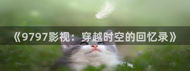 窝窝宅男在线观看免费播放电视剧
