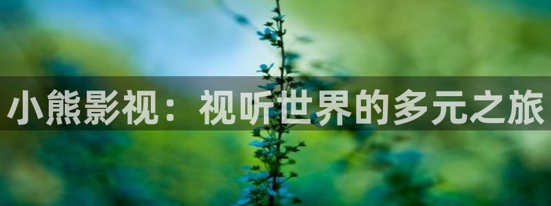 窝窝三级中文影院