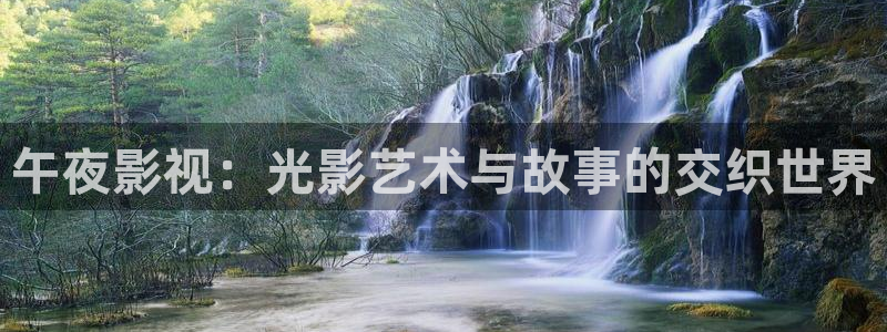 窝窝电视剧免费观看入口