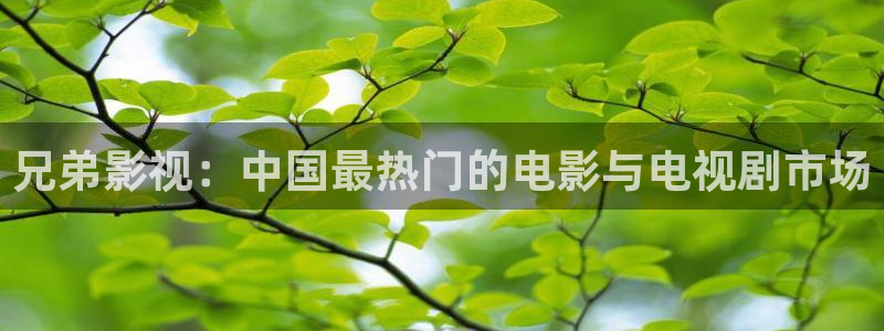 窝窝手机电影