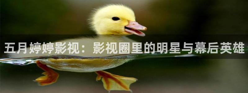 窝窝免费电影电视剧