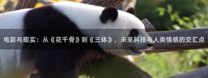 窝窝电影手机版在线