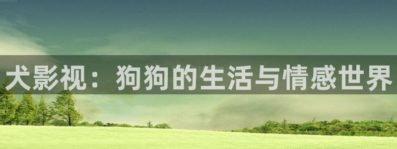 窝窝影院李宗瑞