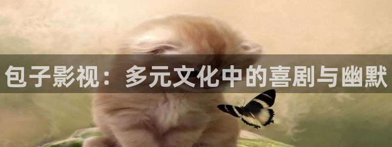 窝窝手机电影网