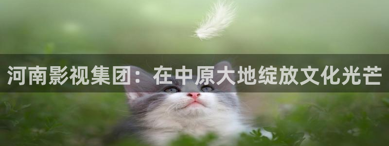 窝窝三级影院