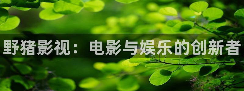 窝窝网电视剧完整版在线观看