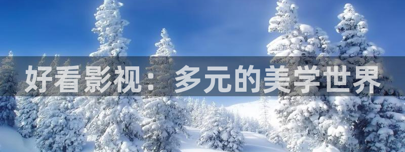 窝窝免费观看全部电视剧