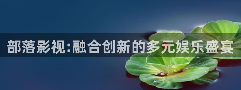 窝窝影院在线观看免费观看