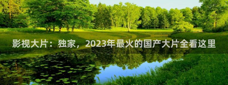 窝窝电影完整版免费
