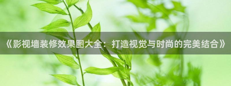 窝窝影院电视剧全集免费