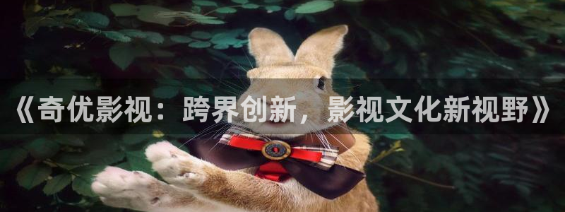 鲁鲁影院电视剧电影窝窝在线观看