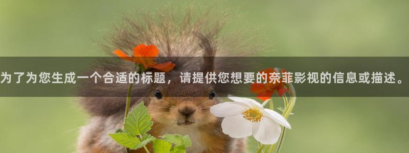 窝窝影院免费观看电视剧在线播放网